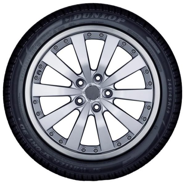 Dunlop Winter Sport 3D - Image 2